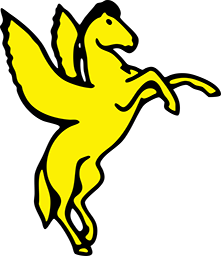 Apollo Security Logo